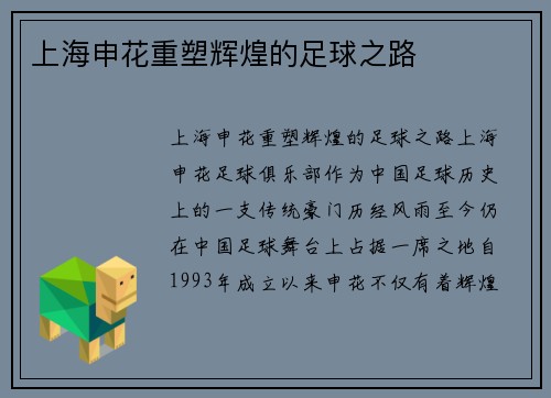 上海申花重塑辉煌的足球之路