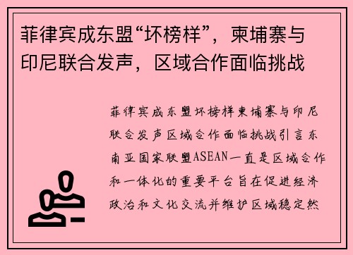菲律宾成东盟“坏榜样”，柬埔寨与印尼联合发声，区域合作面临挑战