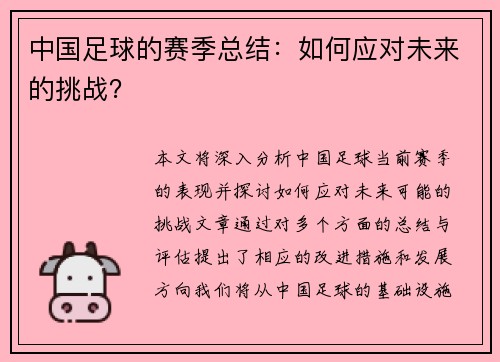 中国足球的赛季总结：如何应对未来的挑战？